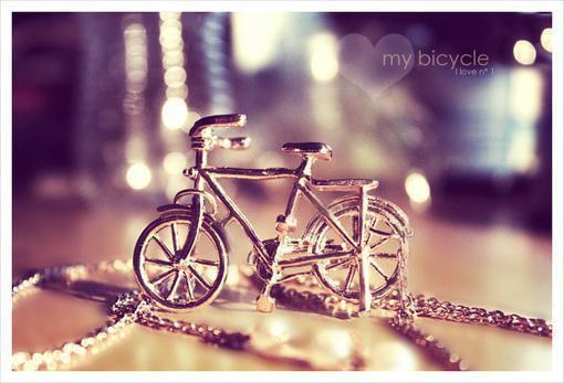 韶华冷言冰小说目录 韶华冷言冰完整免费版阅读