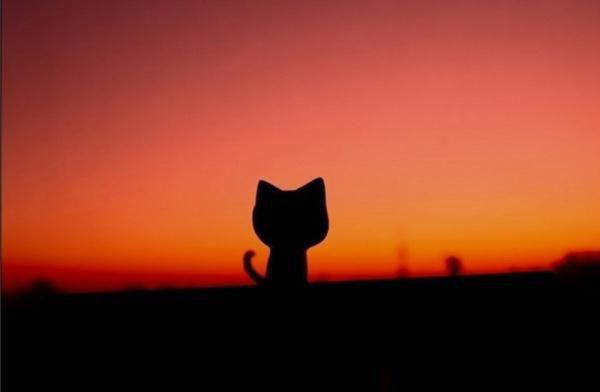 这一世，不给男友和青梅当背锅侠王硕文沈丽徐倩倩小说在线阅读