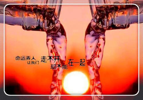 假死殉道后,儿子后悔了(月华临渊)无弹窗阅读