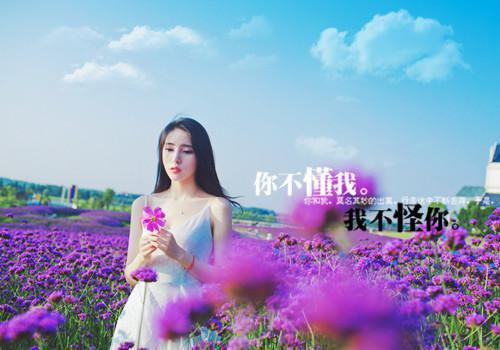 【新书】沈落顾轻延全文全章节免费阅读-顾轻延沈落小说免费阅读无弹窗最新章节列表