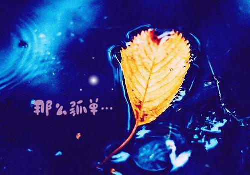 凌一是啥小说 凌一免费阅读无广告