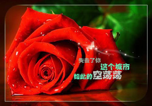 苏易婉季淮川是啥小说 苏易婉季淮川免费阅读无广告