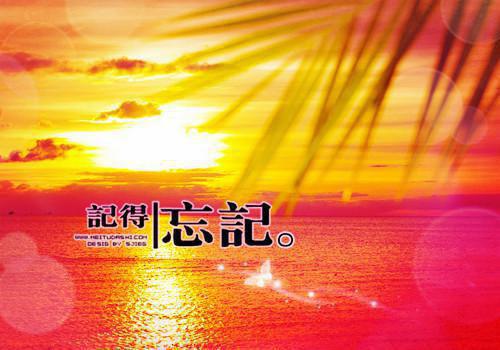 她爱上了偏执狂全文免费阅读 阮秋序傅砚珩目录