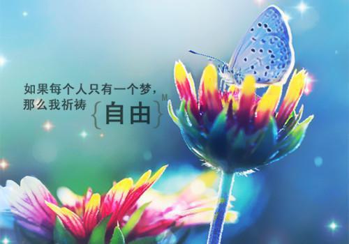 苏清许陆时琛苏清雨小说章节免费阅读 苏清许陆时琛苏清雨无弹窗