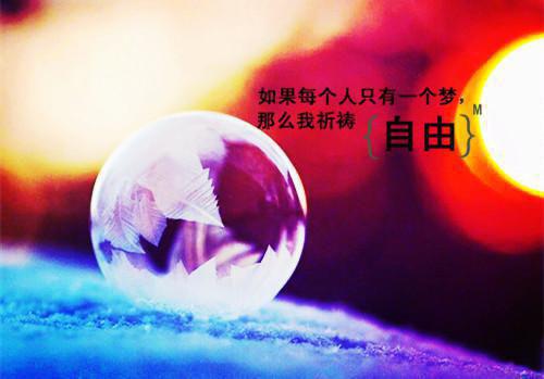 许墨林诗音小说精彩章节阅读 被初恋骗光家产后，老婆在我坟前痛哭忏悔无弹窗在线阅读