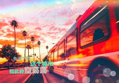 (最新)季晨袁娇娇小说完整版免费阅读