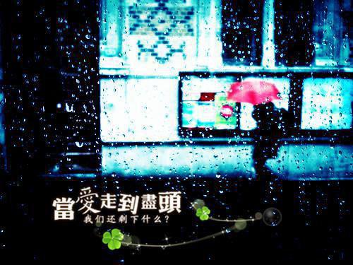 女扮男装：女帝要休夫最新章节 魏南晚苏瑾初在线阅读