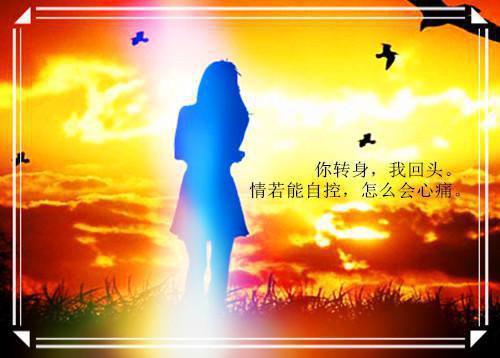 宋苓鸢呼延溯免费小说 宋苓鸢呼延溯在线阅读