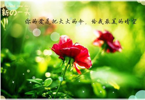 牛郎的骗局小说全集 小七无删减无弹窗阅读