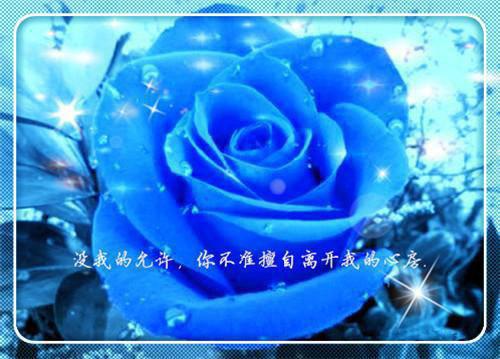 (最新)紫丁夜修小说完整版免费阅读