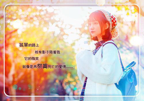 重生七零团长追妻路迢迢16章宋知慧沈君桦全文阅读(完整版)