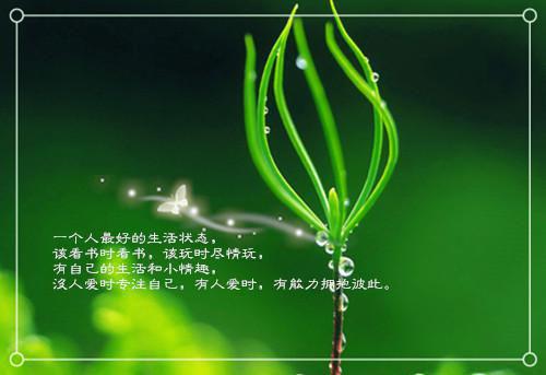 妻子害死我妈后，才知道后悔小说 徐涵陈平晓辰在线阅读