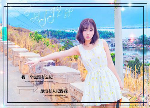 林风眠司乘白第20章 鹅总追爱记终小说全部章节目录