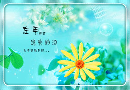 做男宠那些年顾云时沈霁宁无弹窗全文阅读