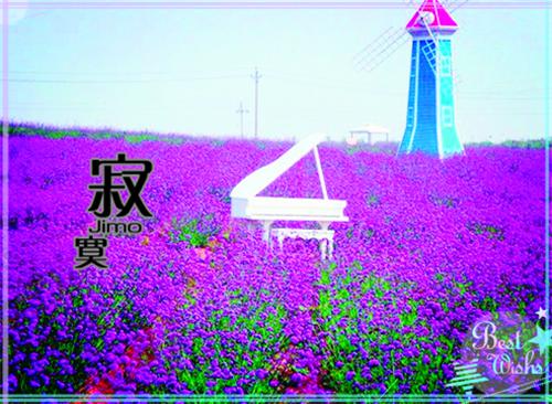 (番外)+(全文)温南絮陆修瑾顾佑宸（温南絮陆修瑾顾佑宸结局+番外）全文免费阅读无弹窗大结局_温南絮陆修瑾顾佑宸最新章节列表（温南絮陆修瑾顾佑宸结局+番外）