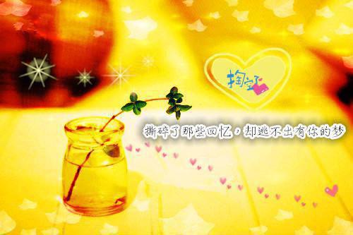 季云深韶华胡闹解锁全文免费阅读无弹窗