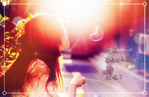 阮妍魏知靳小说最新章节 阮妍魏知靳免费阅读