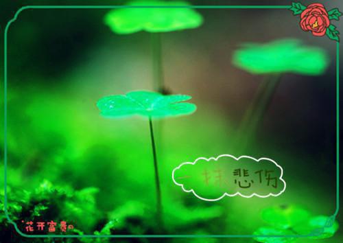 暨箫苏汐盛（苏汐盛暨箫）全文免费阅读无弹窗大结局_（苏汐盛暨箫小说免费阅读）最新章节列表