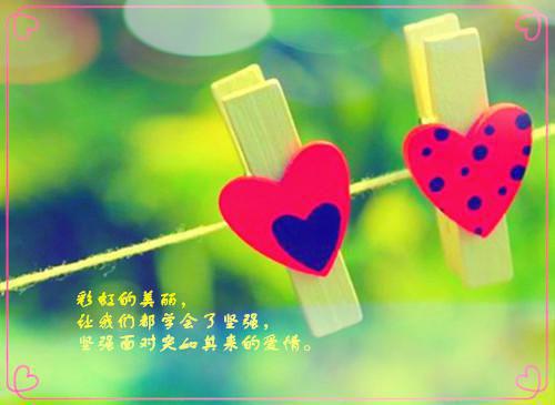 (楚瑶叶泽禹林依)小说无弹窗广告 我死时,老公在给白月光打离婚官司在线看