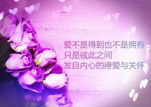 简慕宁贺星野章节目录 独浮生万里皆与你无弹窗全文阅读