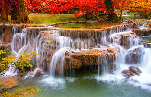 月影霜满楼无广告 阿啼谢连凯月落在线免费阅读