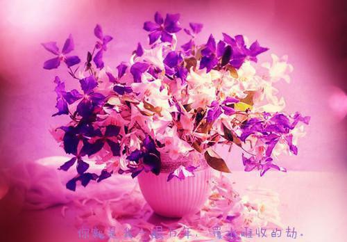 宴知恙许承昊小说在线阅读 宴知恙许承昊最新章节目录