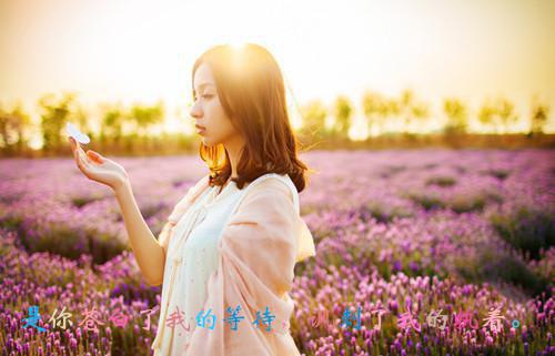 陈世美沈如意结局是什么 陈世美沈如意免费阅读全文