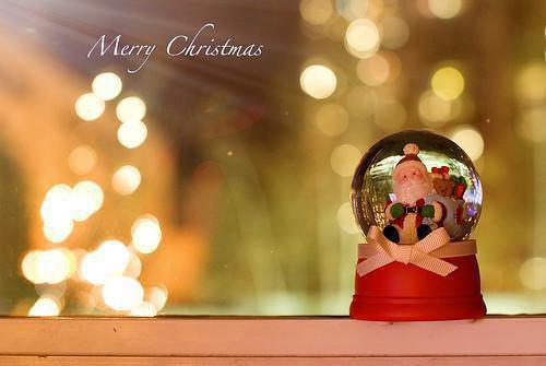 这一世，我不会多管闲事了乐乐杨凯小说最新章节(在线阅读)