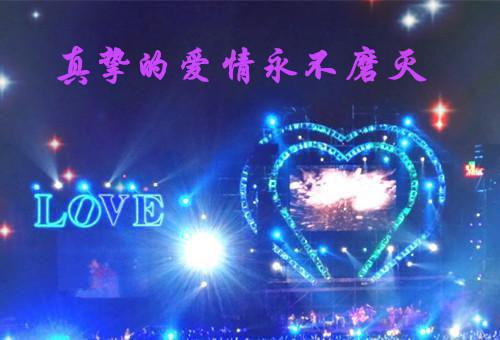 林青沈宗易小说 林青沈宗易免费章节阅读