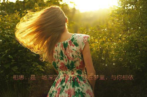 戚韫薛鸣佩什么小说 戚韫薛鸣佩全文免费阅读