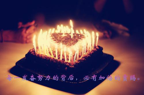 贺今安苏瑜贺云洲小说免费试读 贺今安苏瑜贺云洲第2章