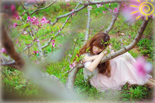 宋君竹林若音陈玲小说名字 宋君竹林若音陈玲全文免费阅读