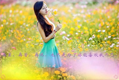 无颜谢青云姚黄完整版 无颜谢青云姚黄小说全文在线阅读