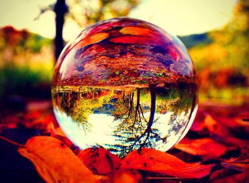 锦遥宋岩双宋鱼小说全文阅读 锦遥宋岩双宋鱼第3章