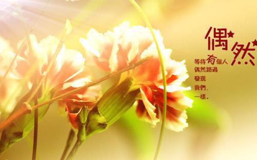 阮绵霍忱全文免费（霍忱阮绵）完整全文在线阅读_阮绵霍忱全文免费免费阅读全章节目录（霍忱阮绵）