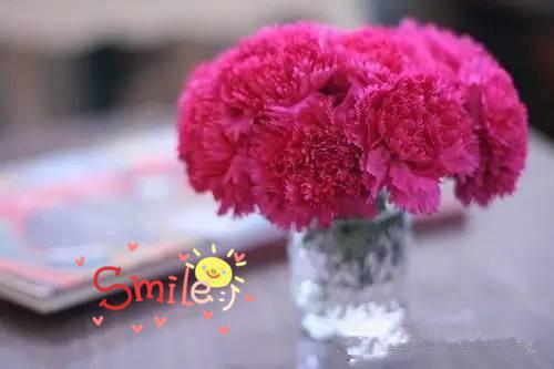 桑瑶江铭苏如烟哪里可以看 桑瑶江铭苏如烟免费阅读