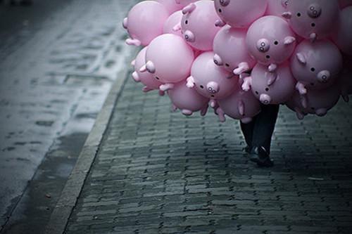 赵若水梁科苏念小说在线阅读 赵若水梁科苏念最新章节目录