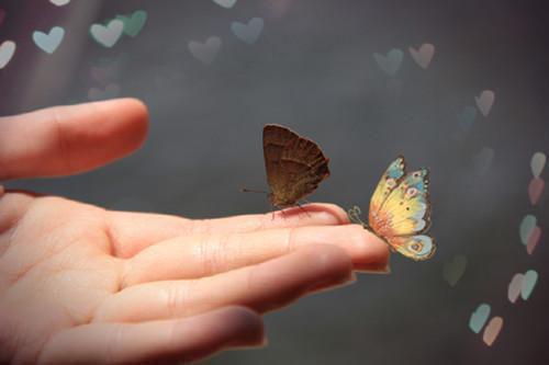 虞鱼儿白月光什么小说 虞鱼儿白月光全文免费阅读