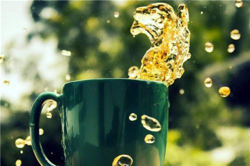 木卿卿完整未删减版在线阅读 木卿卿结局