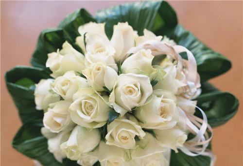 阮秋萩陆冶（陆冶阮秋萩）小说全文免费阅读无弹窗_（陆冶阮秋萩）最新章节列表