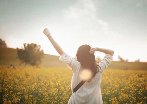书屿江婉仪贺霆小说最新章节 书屿江婉仪贺霆免费阅读