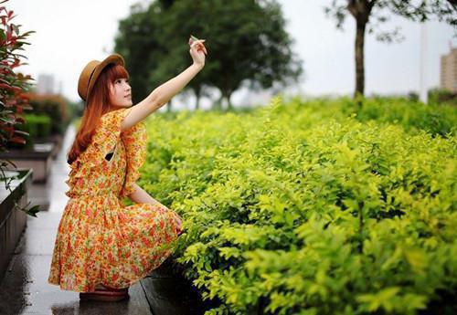 慕陵楚鸢（楚鸢慕陵）全文免费阅读无弹窗大结局_慕陵楚鸢小说最新章节列表