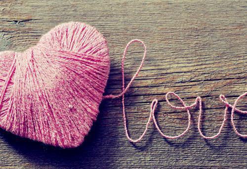 苏韵敏陆廷时主角的书 诱欢似月全文阅读免费