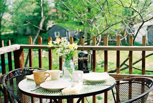 我的夫君是树墩子凌陈皎皎全文免费阅读(已完结)