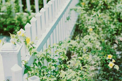 程耀清清最新章节免费 程耀清清在线阅读