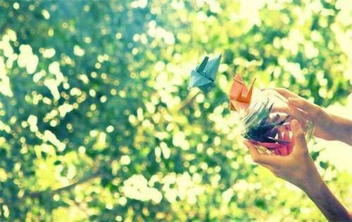 主角严茗茗向若儋小说 严茗茗向若儋小说全文免费阅读