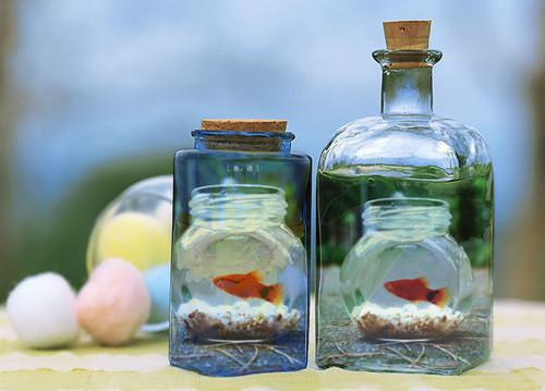 (抖音小说)徐正国陆毅小说全文阅读免费