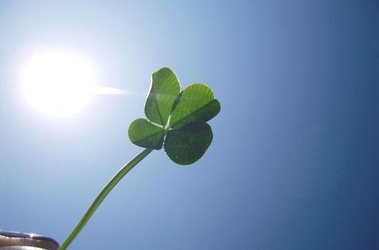 江月初宋尘小说 江月初宋尘全文免费阅读