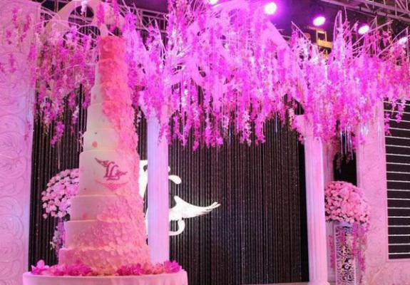 流光初梦小说全文免费阅读( 叶乔罗梦菲)全文在线叶乔罗梦菲读无弹窗大结局_(流光初梦小说叶乔罗梦菲)流光初梦小说在线叶乔罗梦菲读无弹窗最新章节列表(叶乔罗梦菲)