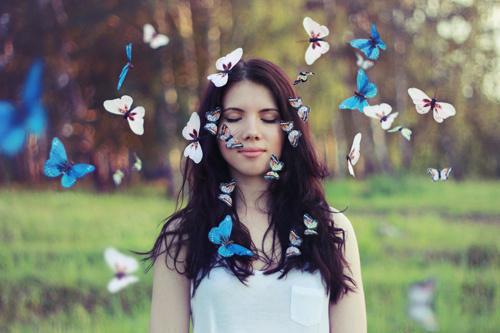 陆砚舟沈漾小说在线阅读 陆砚舟沈漾最新章节目录